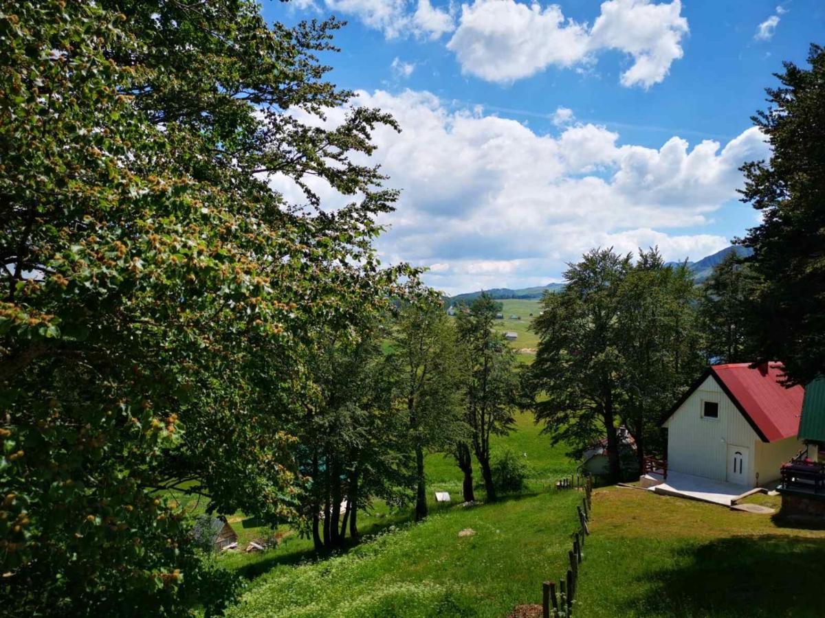 Gorska Vila Apartments Žabljak Exteriör bild