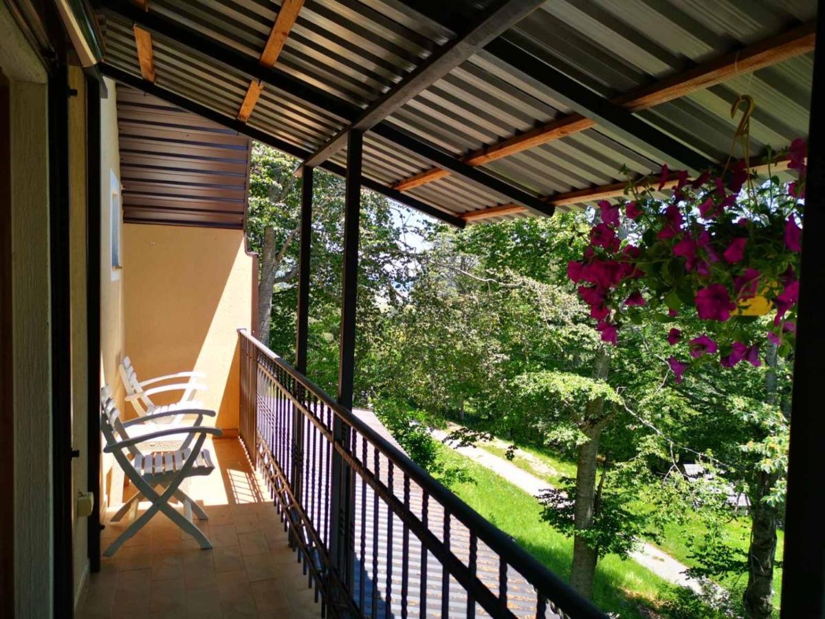 Gorska Vila Apartments Žabljak Exteriör bild