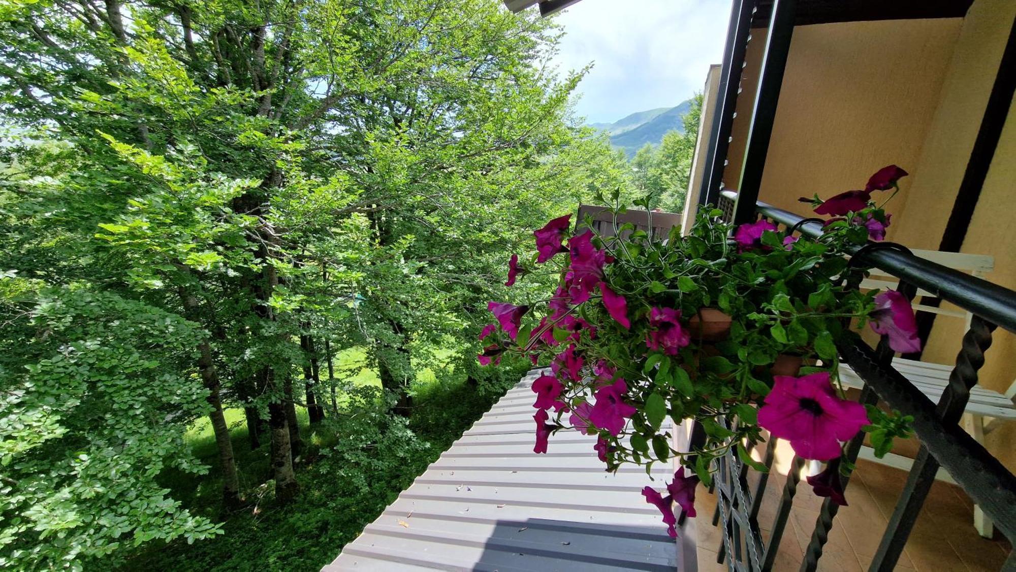 Gorska Vila Apartments Žabljak Rum bild
